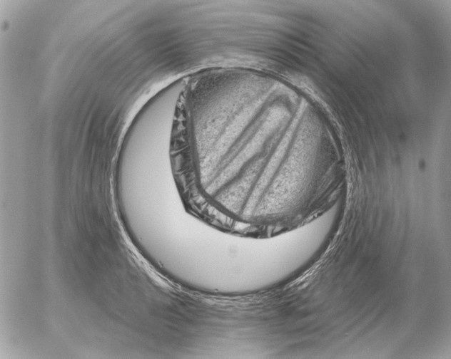 X0000052641040200507221810