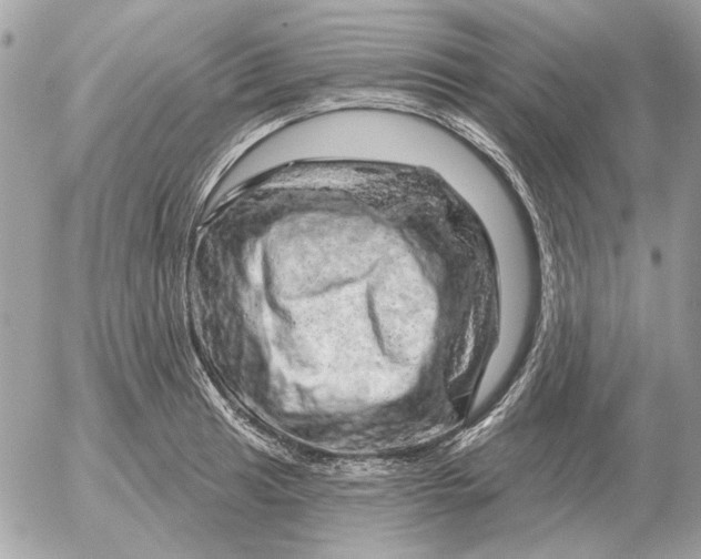 X0000052641041200507221810