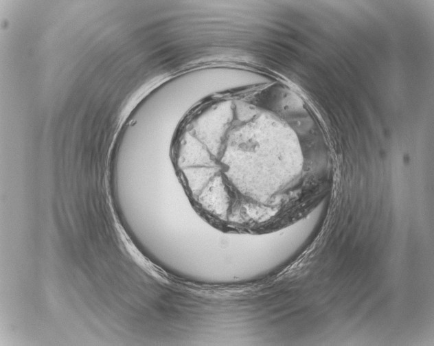 X0000052641042200507221810