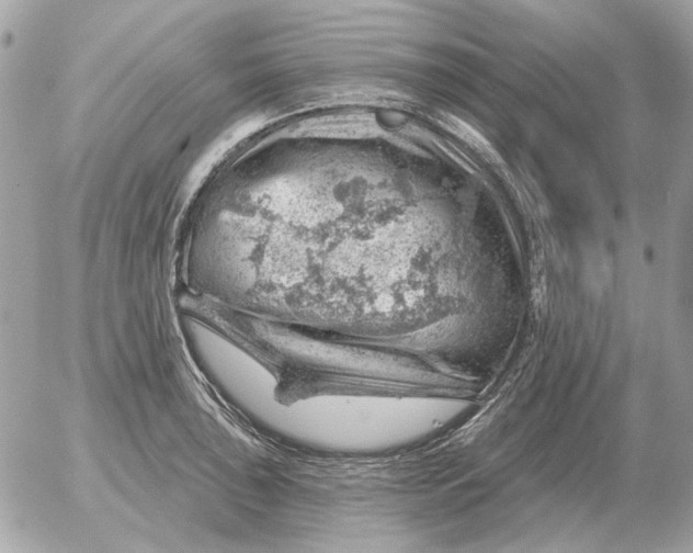 X0000052641043200507221810