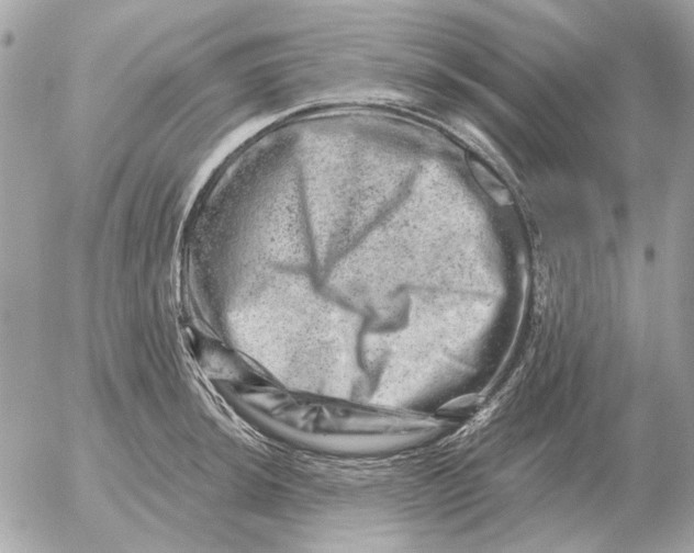 X0000052641044200507221810