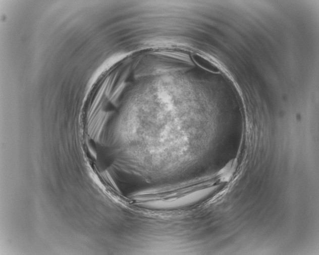 X0000052641045200507221810