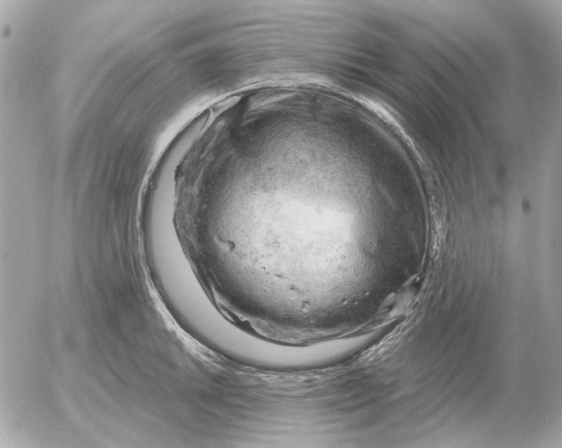 X0000052641046200507221810