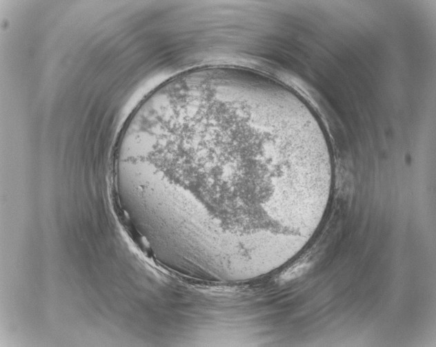 X0000052641048200507221810