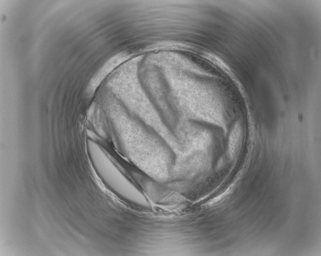 X0000052641049200507221810