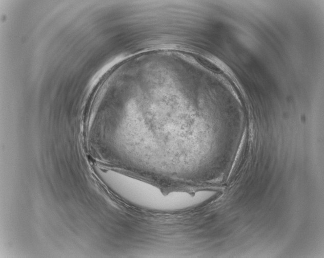 X0000052641051200507221810