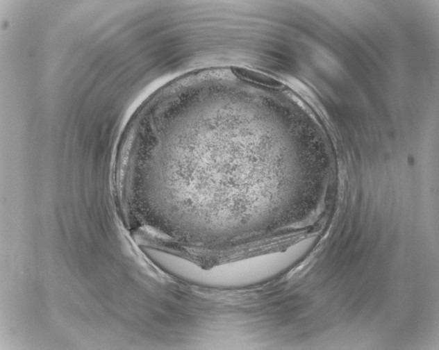 X0000052641052200507221810