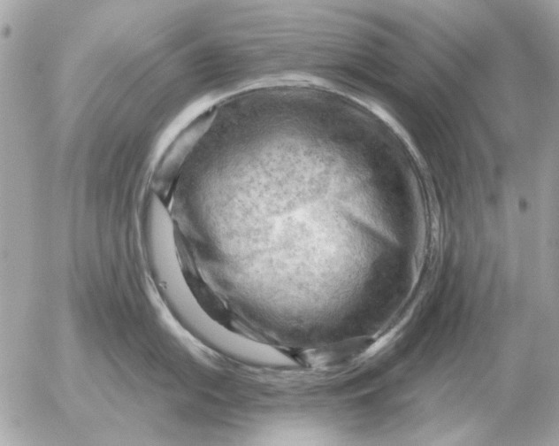 X0000052641054200507221810