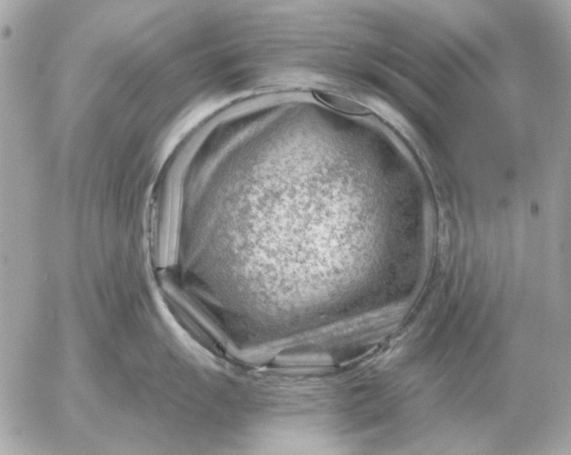 X0000052641055200507221810