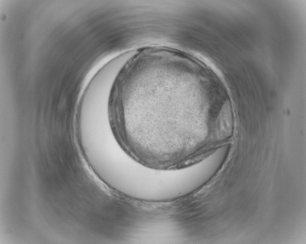 X0000052641056200507221810