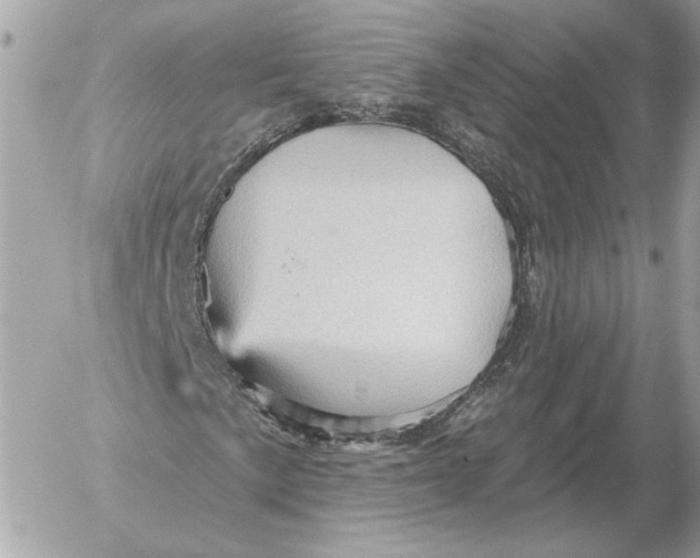 X0000052641057200507221810