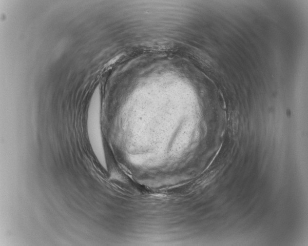 X0000052641058200507221809