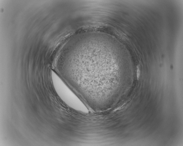 X0000052641059200507221809