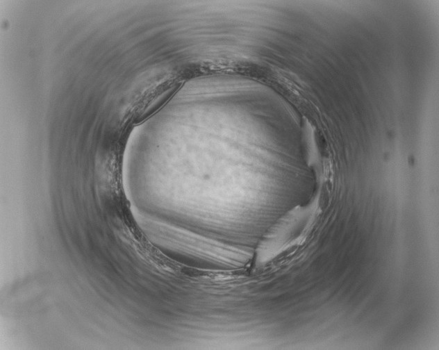 X0000052641060200507221809