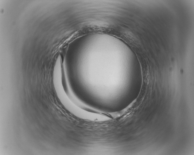 X0000052641061200507221809