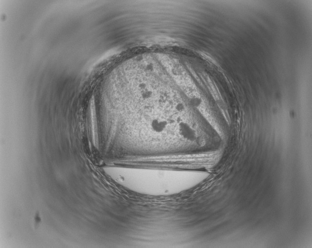 X0000052641063200507221809