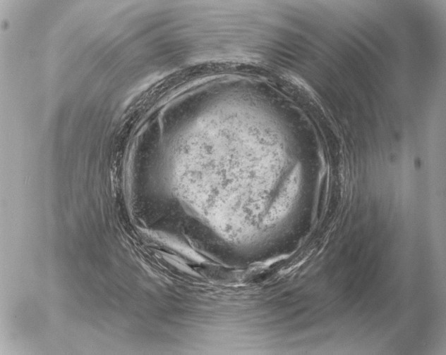 X0000052641064200507221809