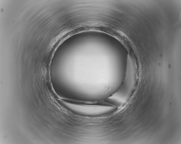 X0000052641065200507221809