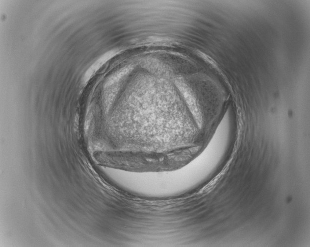 X0000052641066200507221809