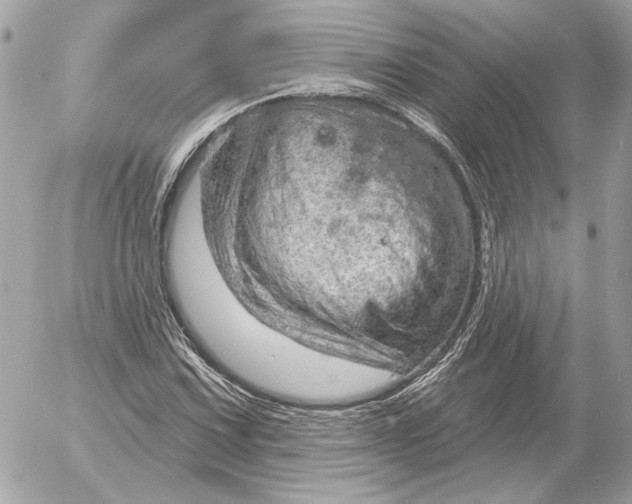 X0000052641067200507221809