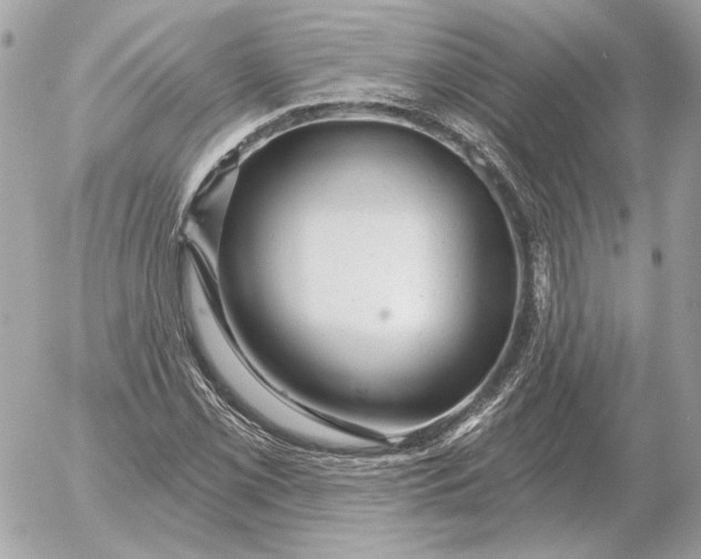 X0000052641069200507221809