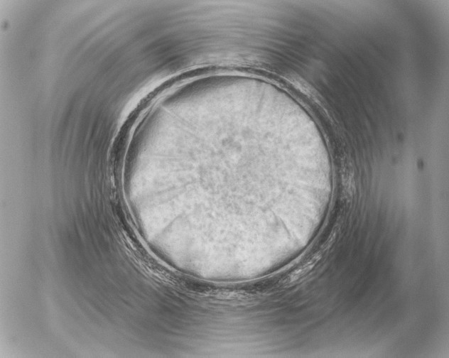 X0000052641070200507221809