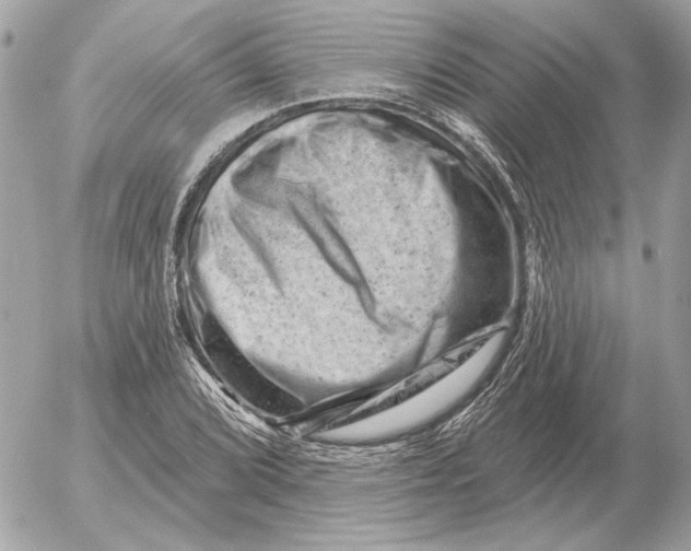 X0000052641072200507221809