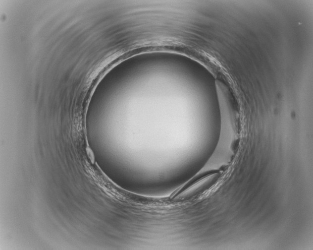 X0000052641073200507221809