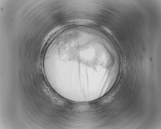 X0000052641074200507221809