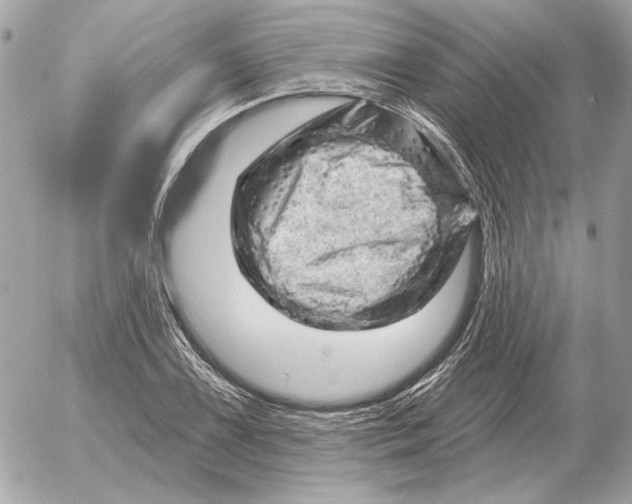 X0000052641075200507221809