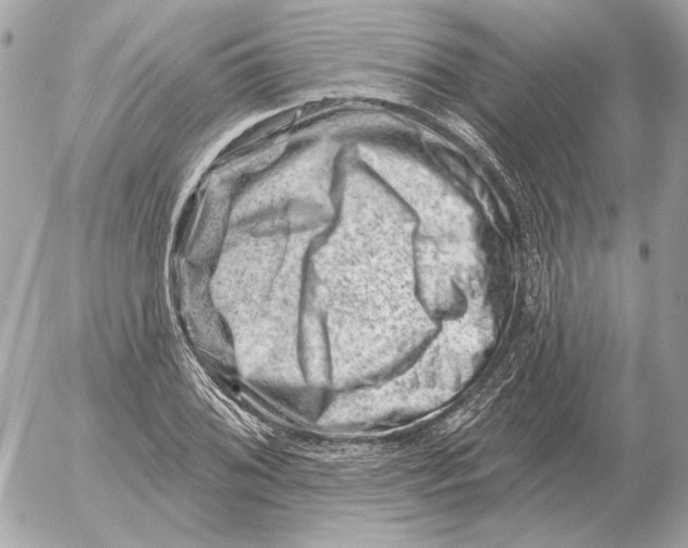 X0000052641076200507221809