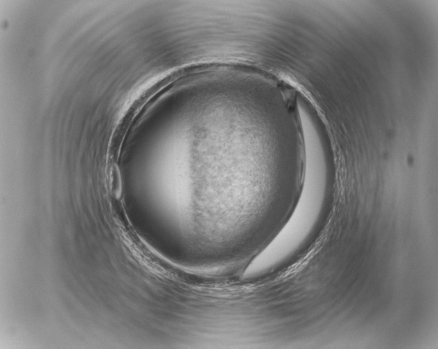 X0000052641077200507221809