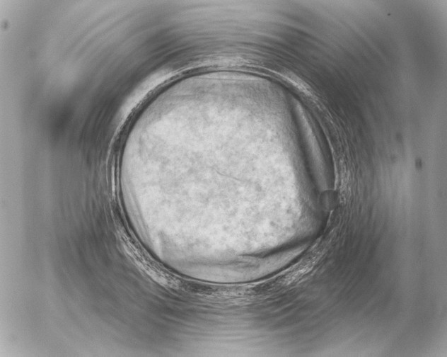 X0000052641078200507221809