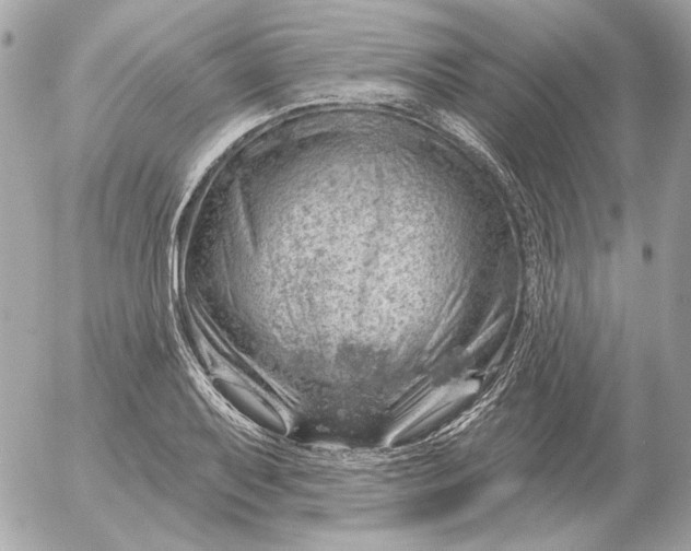 X0000052641079200507221809