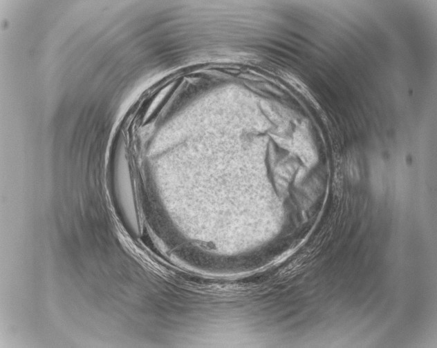 X0000052641080200507221809