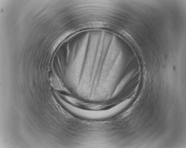 X0000052641081200507221809