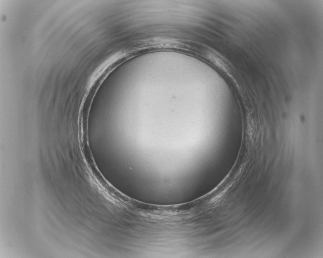 X0000052641082200507221809