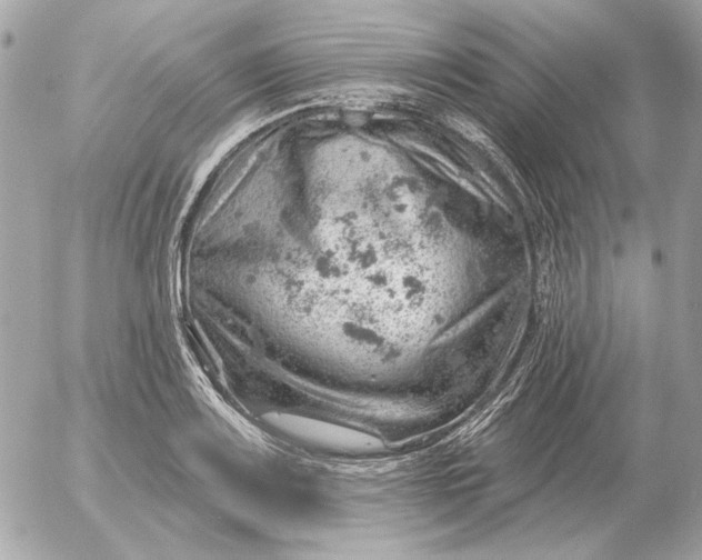 X0000052641083200507221809