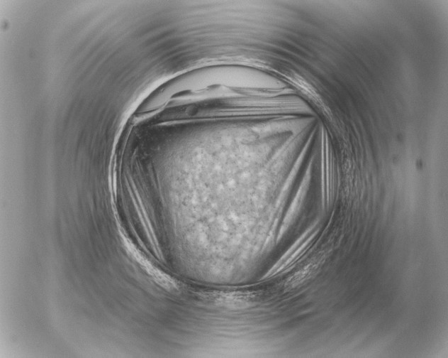 X0000052641084200507221809