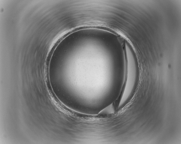 X0000052641085200507221809