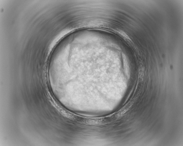 X0000052641086200507221809