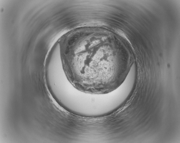 X0000052641087200507221809