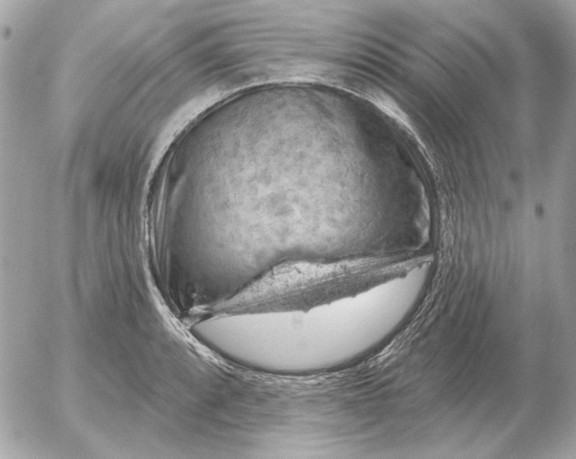 X0000052641088200507221809