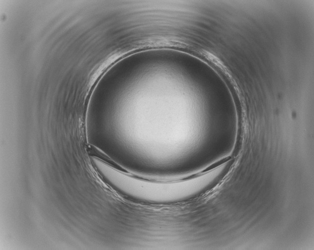 X0000052641089200507221809