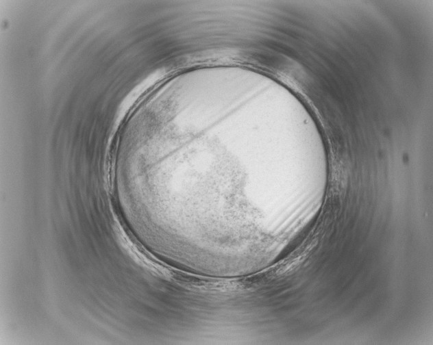 X0000052641090200507221809