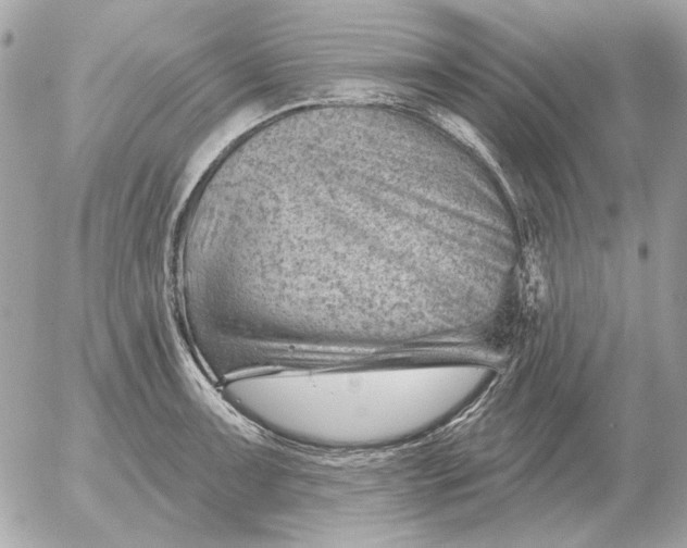 X0000052641091200507221809