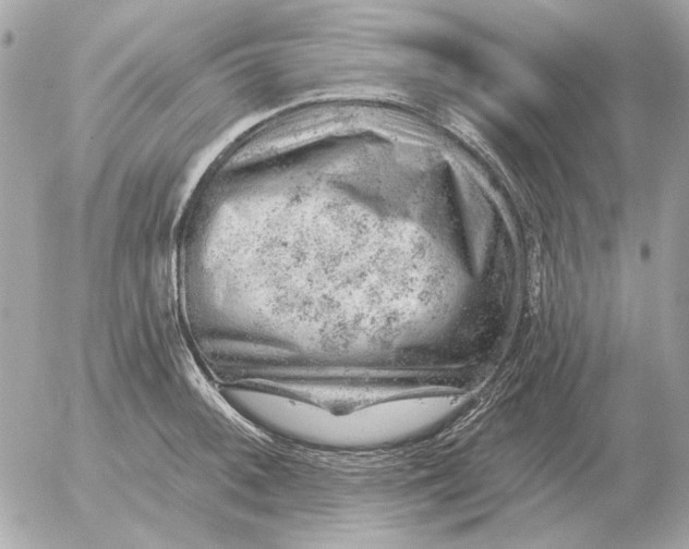 X0000052641092200507221809