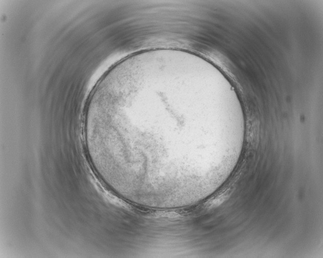 X0000052641094200507221809