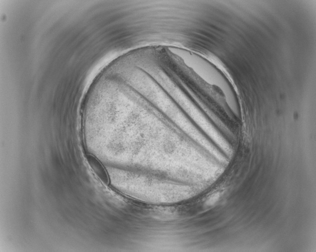 X0000052641096200507221809