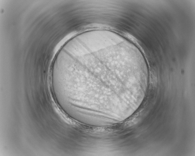 X0000052641098200507221809